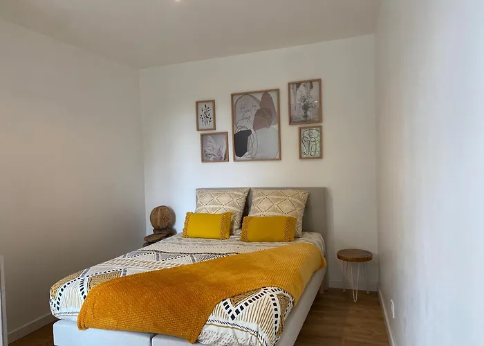 • Bel Appartement - Centre Historique De Poitiers